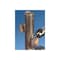 Pferd Carbide Bur, SCTI SM-42, 1/8", Double Cut 23482 - alternate 3